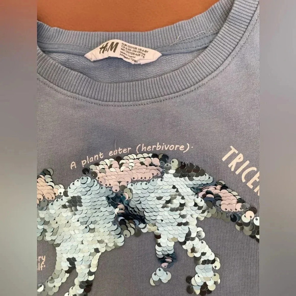 H&M dinosaur crewneck sweater for boy - Picture 4 of 5